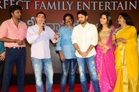 Srinivasa Kalyanam Movie Success Meet